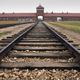 Illustration for article titled Chelseas New Plan For Dealing With Racist Fans: Send Them To Auschwitz